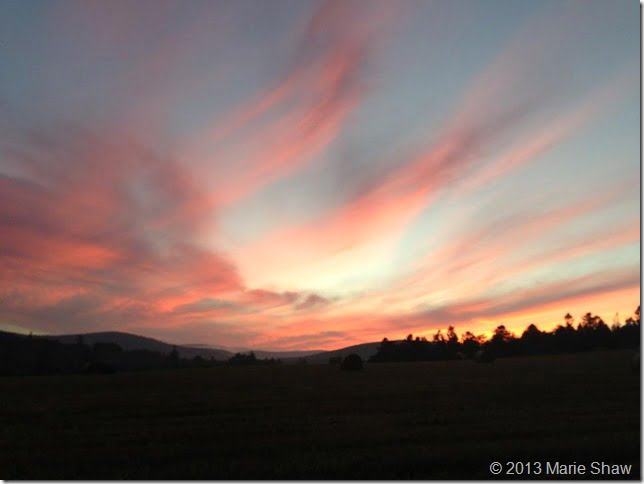 Winter sunset - Marie Shaw Winter sunset - Marie Shaw