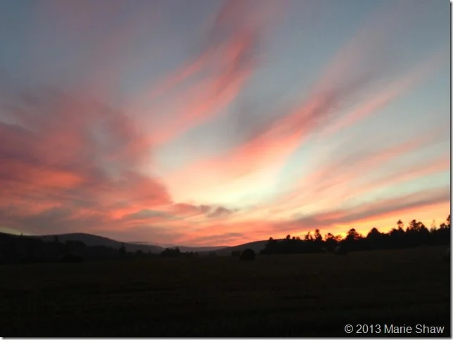 Winter sunset - Marie Shaw